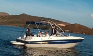 Bayliner 219 1