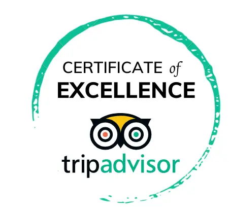 trip-advisor-e1754524255952png - Lover lips